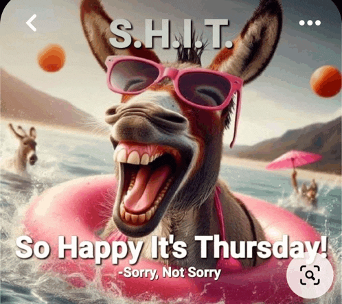 a picture of a donkey wearing pink sunglasses and a pink float with the words " so happy it 's thursday "