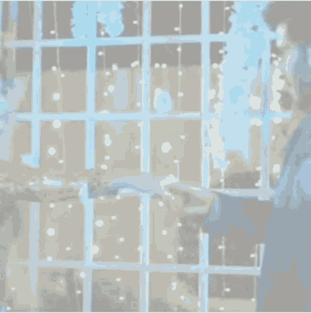 a man and a woman are holding hands and looking at each other in front of a window .