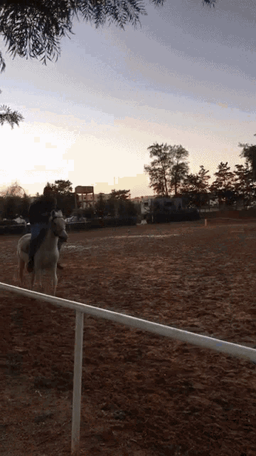 a man riding a horse in a dirt field