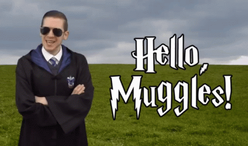 Muggle Muggles GIF - Muggle Muggles Hello Muggles GIFs