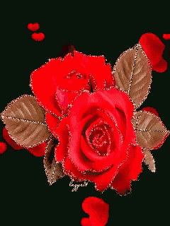 a close up of a red rose with gold leaves on a black background