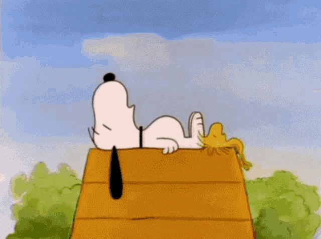 snoopy and woodstock are sleeping on the roof of their house