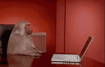 a monkey is sitting at a desk using a laptop computer with the words ma porcodio written above it