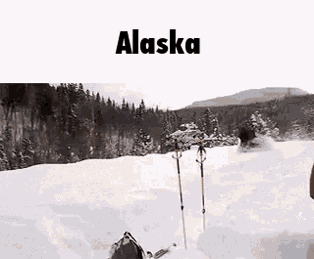 Alaska GIF - Alaska GIFs