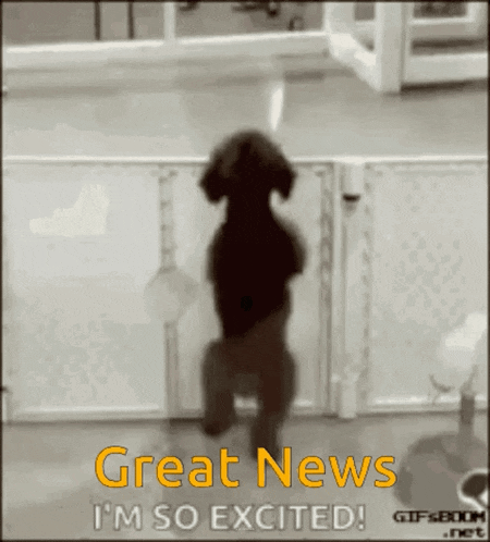 a dog standing on its hind legs with the words " great news i 'm so excited " above it