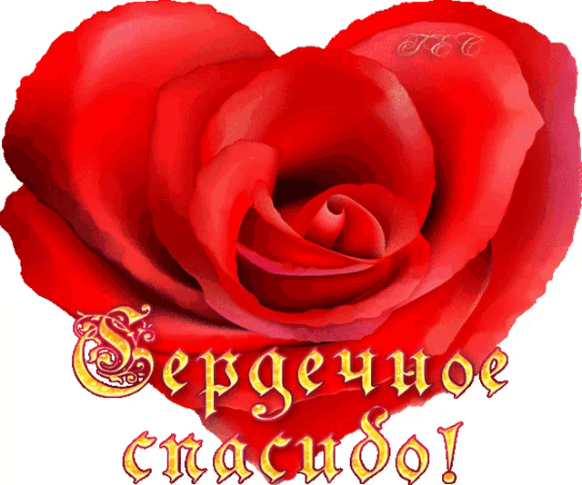 a red rose in the shape of a heart with the words sergeuhoe gracias