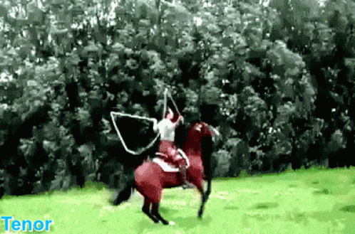 Horse Jump GIF - Horse Jump Exercise GIFs
