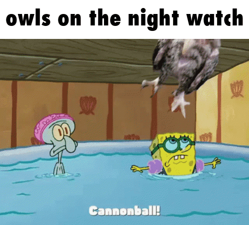 Owls On The Night Watch Spongebob GIF - Owls On The Night Watch Spongebob Hawaii Part Ii GIFs