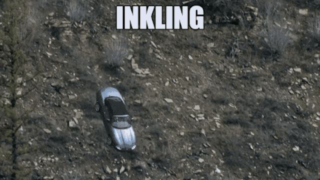 a screenshot of a video game with the word inkling on it