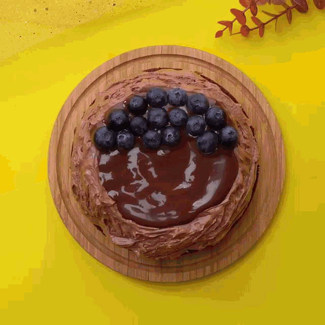 a chocolate cake with blueberries on top of it
