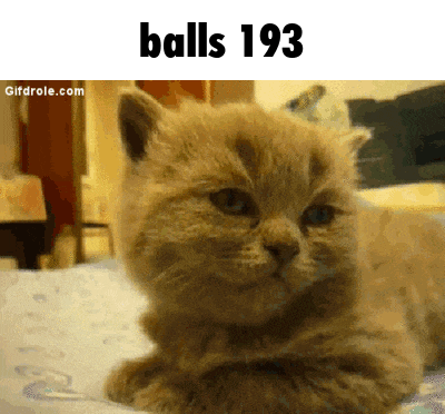 a cat laying on a bed with the words balls 193 written above it