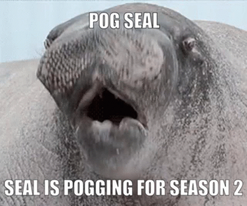 Seal Pog GIF - Seal Pog Echo Arena GIFs