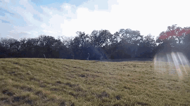 a grassy field with trees in the background and the sun shining through the clouds