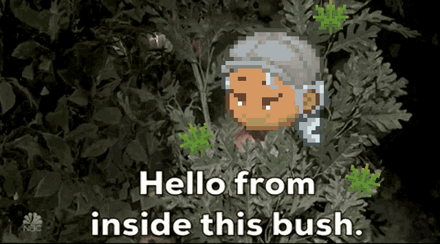 a pixel art of a person behind a bush with the words " hello from inside this bush "