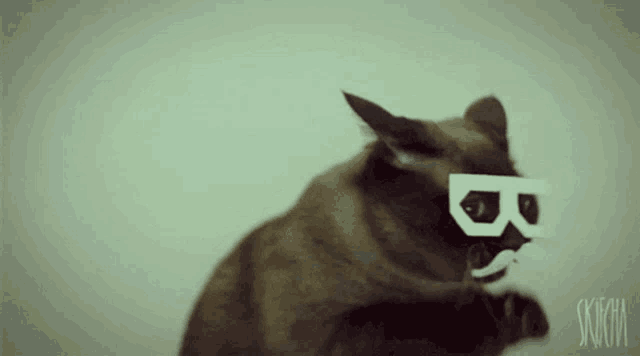 a cat wearing 3d glasses and a fake mustache has the letter b on its face