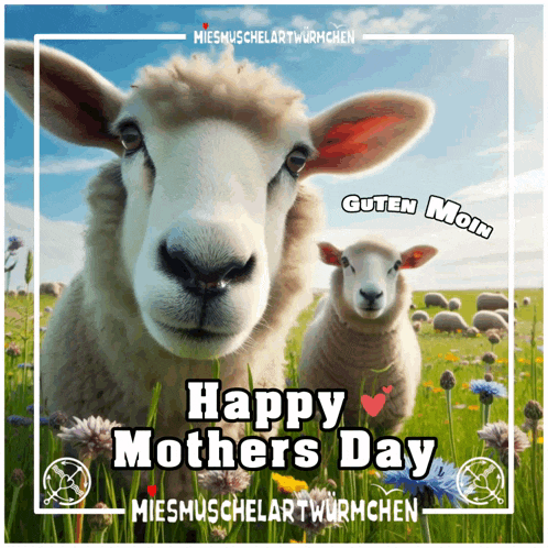 a picture of two sheep with the words happy mothers day