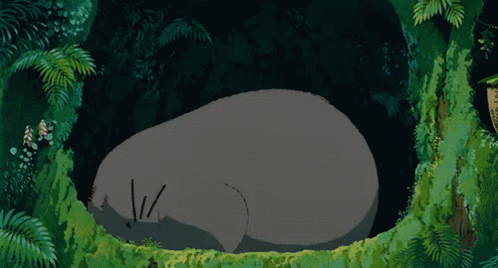 寝る　トトロ　ジブリ GIF - Totoro Studio Ghibli GIFs