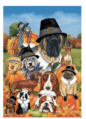 a group of dogs wearing pilgrim hats are surrounded by pumpkins and turkeys