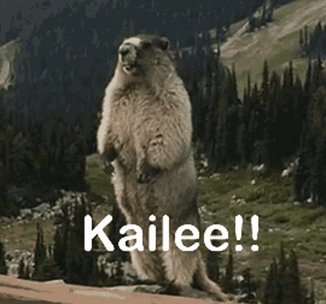 Yell Gopher GIF - Yell Gopher Kailee GIFs