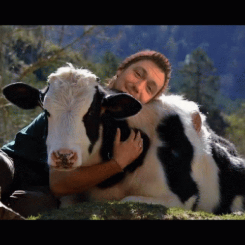 Hug Tight Cow GIF - Hug Tight Cow Love GIFs
