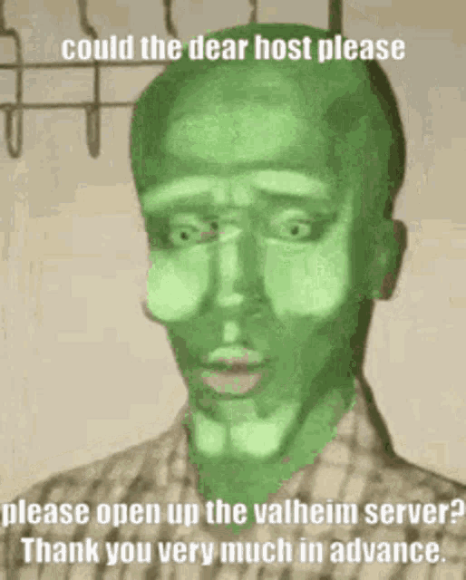 a cartoon of a man with a green face and the words could the dear host please please open up the valheim server ?