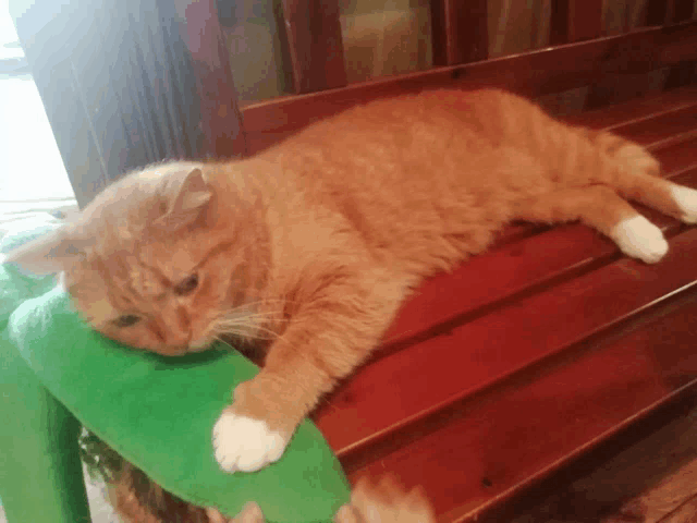 an orange cat laying on a wooden bench with a green stuffed animal on its head