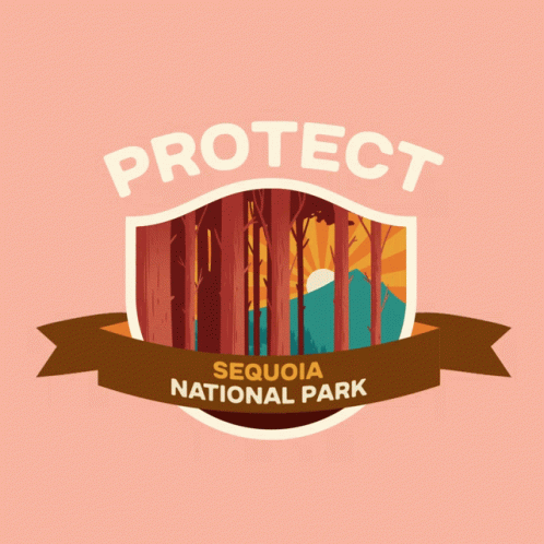Protect More Parks Camping GIF - Protect More Parks Camping Protect Sequoia National Park GIFs