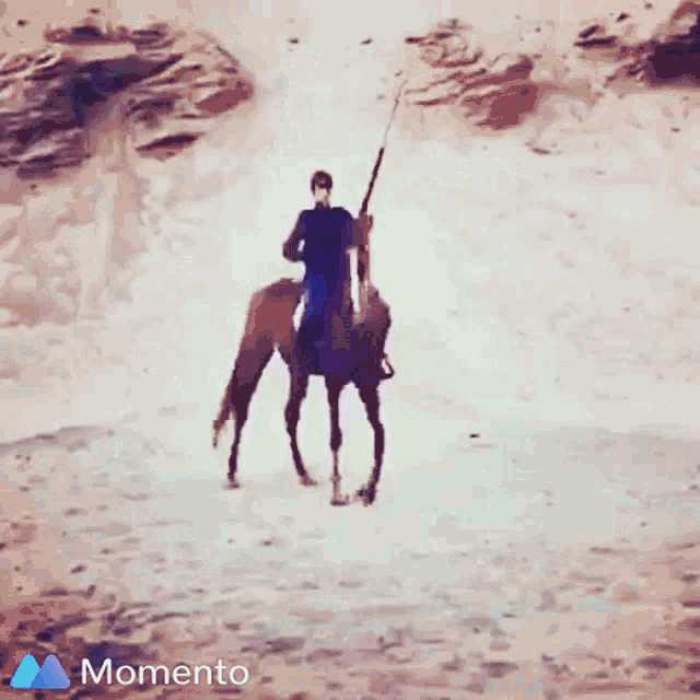 Ekram Horse Ride GIF - Ekram Horse Ride Swish Tail GIFs