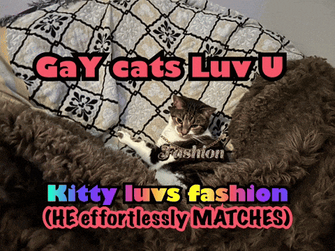 a cat is sitting on a blanket with the words gay cats luv u kitty luvs fashion