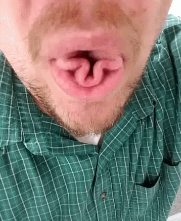 Tongue Tricks GIF - Tongue Tricks GIFs