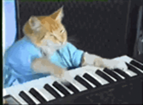 Cat Sus GIF - Cat Sus Piano GIFs