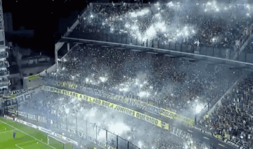 Boca Staduim GIF - Boca Staduim Fans GIFs