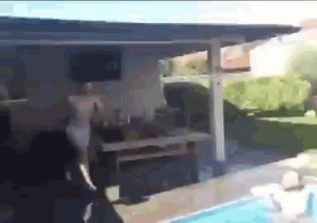 Pool Accident GIF - Pool Accident Face Kick GIFs