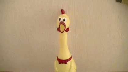 びっくり　鶏 GIF - Chicken Surprised Shookt GIFs