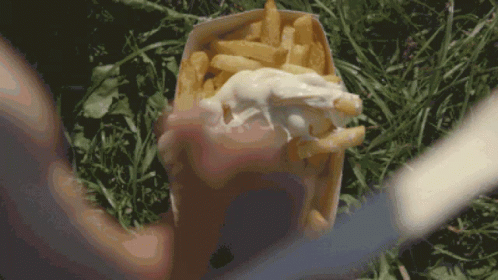 Belgian Fries French Fries GIF - Belgian Fries French Fries Fries GIFs