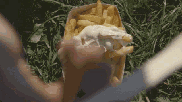 a person holding a bag of french fries with mayonnaise on top