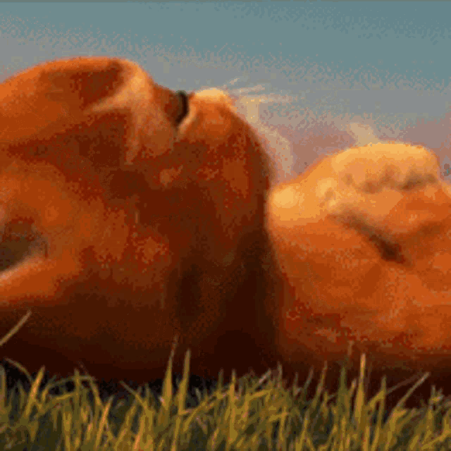 a cartoon cat is laying down in the grass with its mouth open .