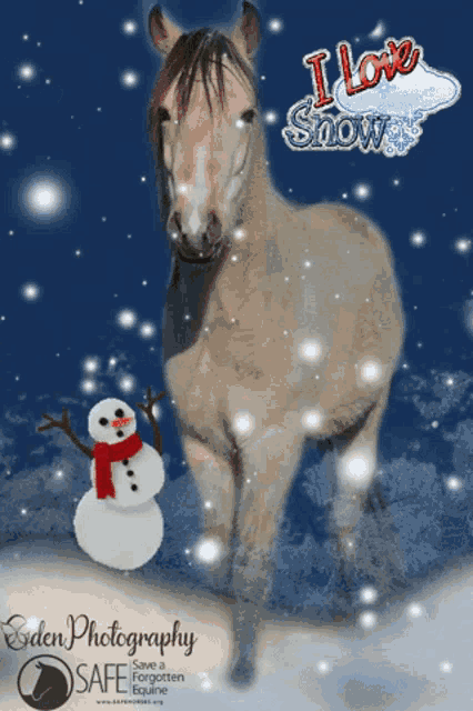 Safe Horse GIF - Safe Horse Snow GIFs