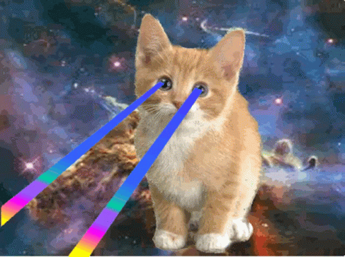 Space Kitten GIF - Space Kitten Universe GIFs
