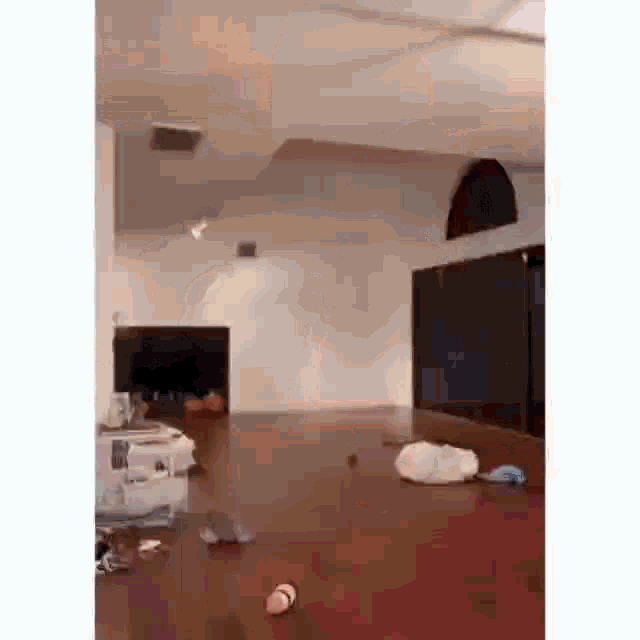 a dog is playing with a ball in a living room .
