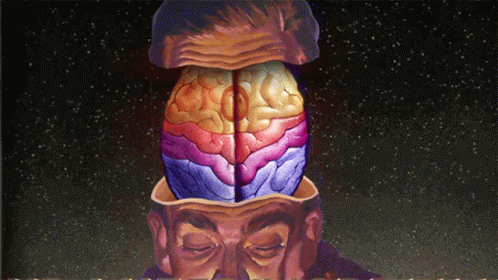 Brain Oasis GIF - Brain Oasis Shes Electric Song GIFs