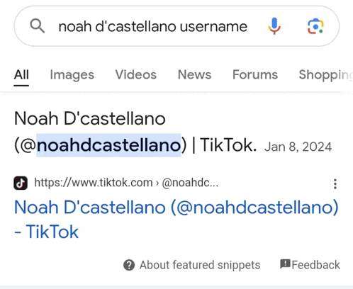 a screenshot of a google search for noah d ' castellano username