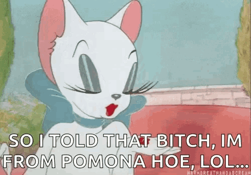 a cartoon cat is saying so i told that bitch im from pomona hoe lol