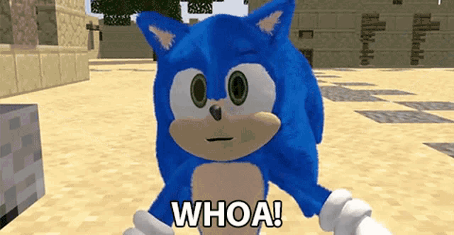 a cartoon sonic the hedgehog says whoa in a video game