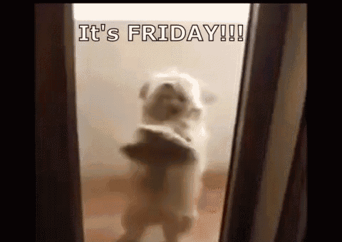 It'S Friday GIF - Dog Stand Puppy GIFs
