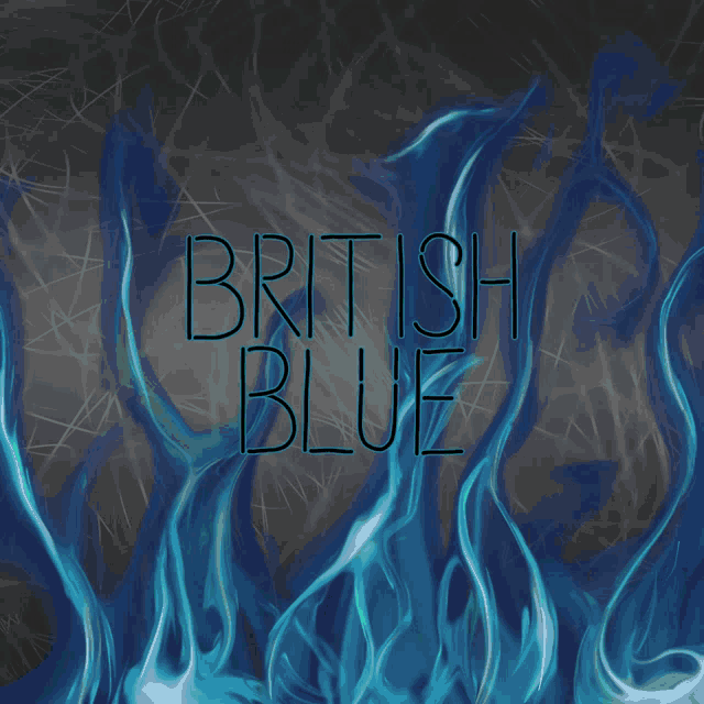 British Blues Profile Pic Logo Flames GIF - British Blues Profile Pic Logo British Blue GIFs
