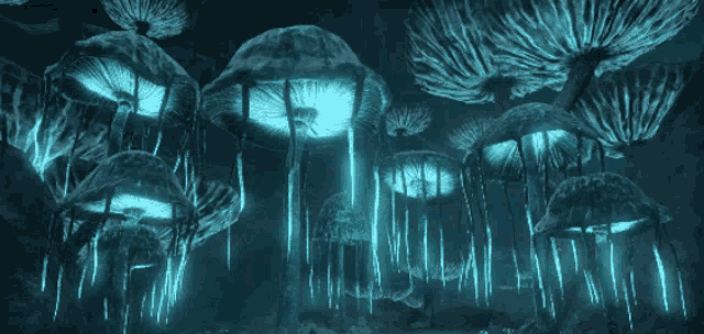 glowing mushrooms are growing in the dark