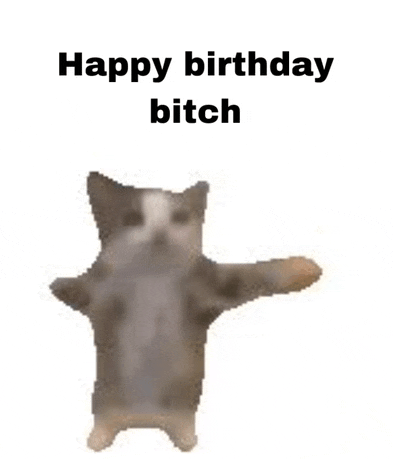 a cat is dancing with the words `` happy birthday bitch '' written above it .