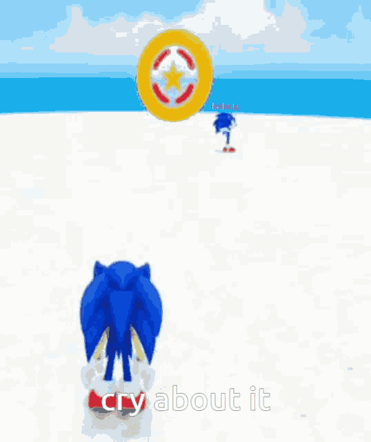 two sonic the hedgehog toys are standing on a beach .