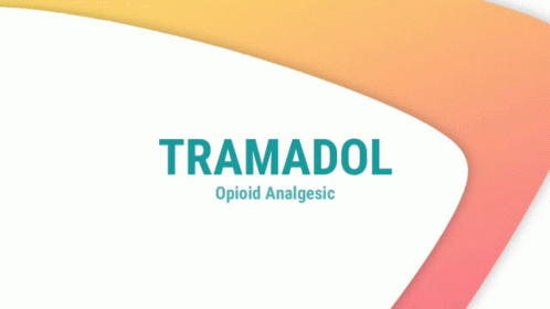Tramadolsideeffects Tramadoldosage GIF - Tramadolsideeffects Tramadoldosage Istramadolanopioid GIFs
